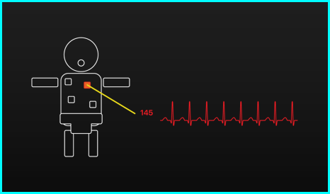 Static model infant display